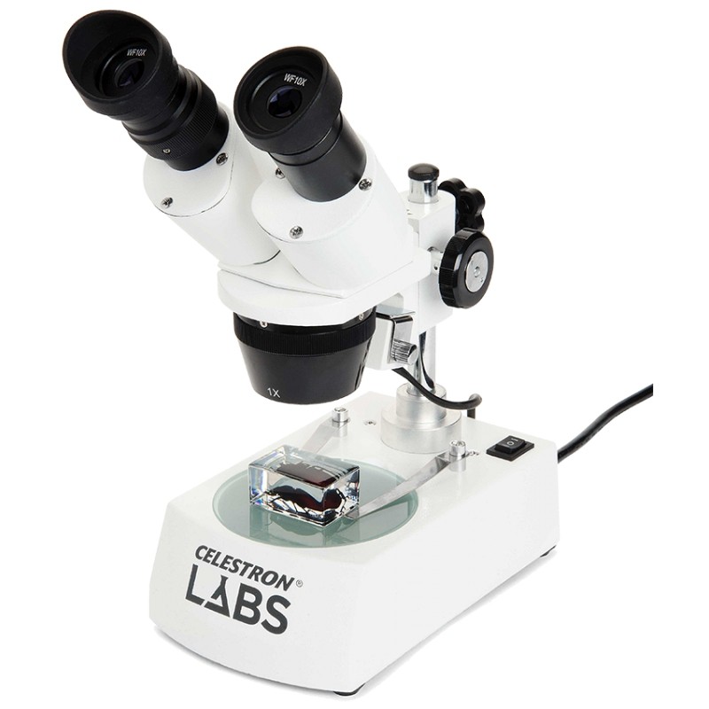 Loupe binoculaire LABS S10-60 - 10 à 60x