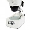 Loupe binoculaire LABS S10-60 - 10 à 60x